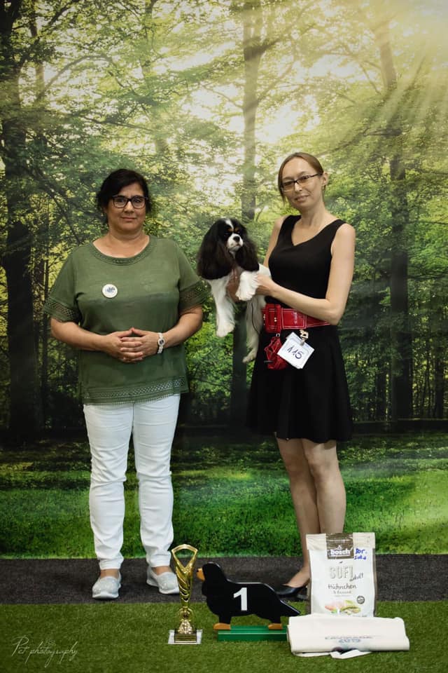 photo by Mirosawa Gajewczyk