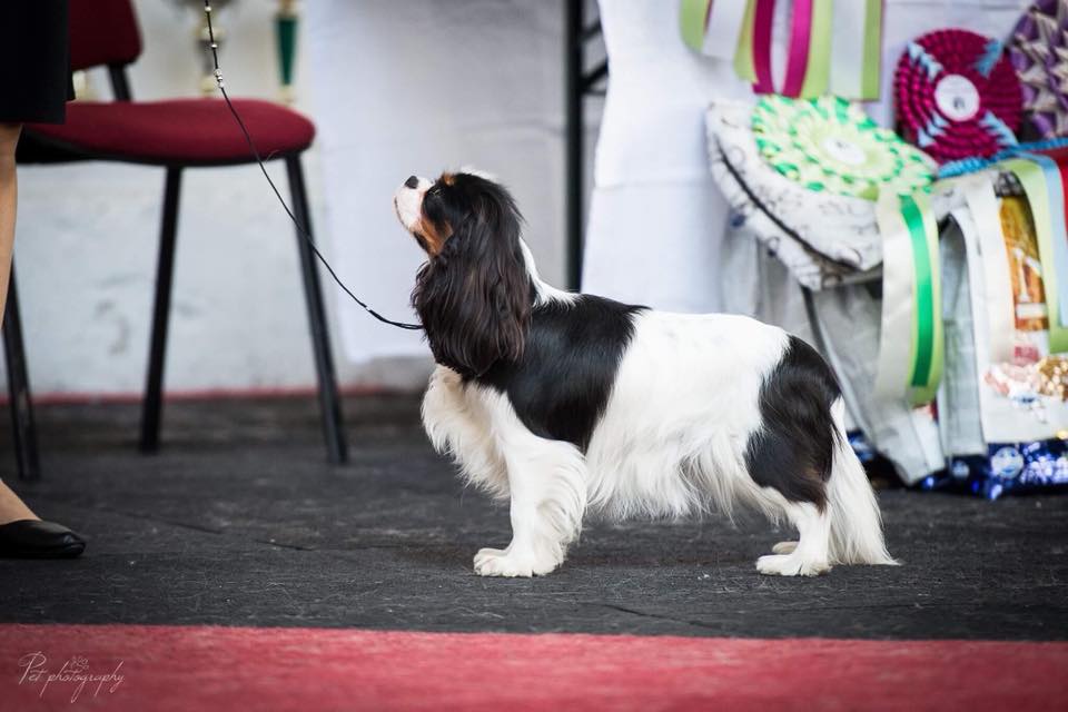 photo by Anna Derleta