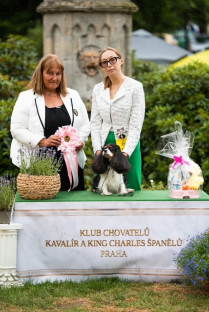 photo by Anna Derleta