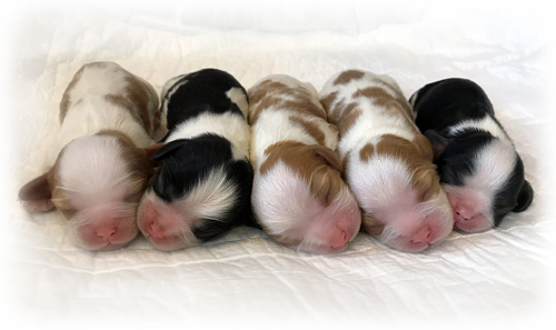 photo by Marcin Rozbiewski