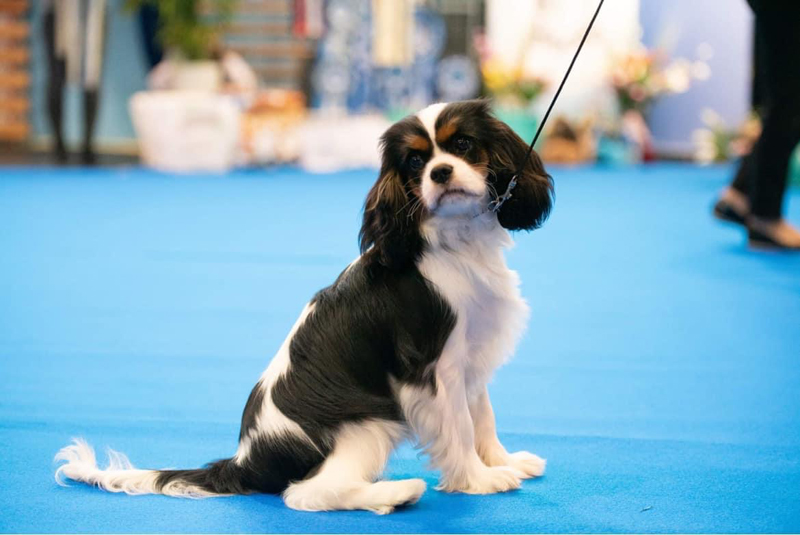 photo by Anna Derleta