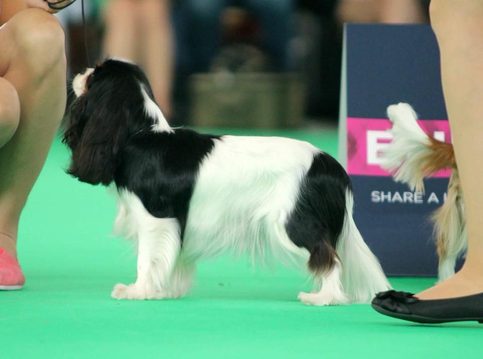 photo by Joanna Dziuba