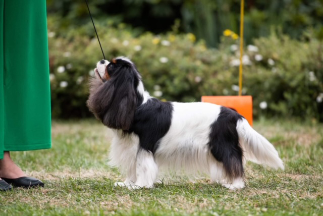 photo by Anna Derleta