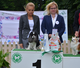 photo by Marta Kaczmarczyk