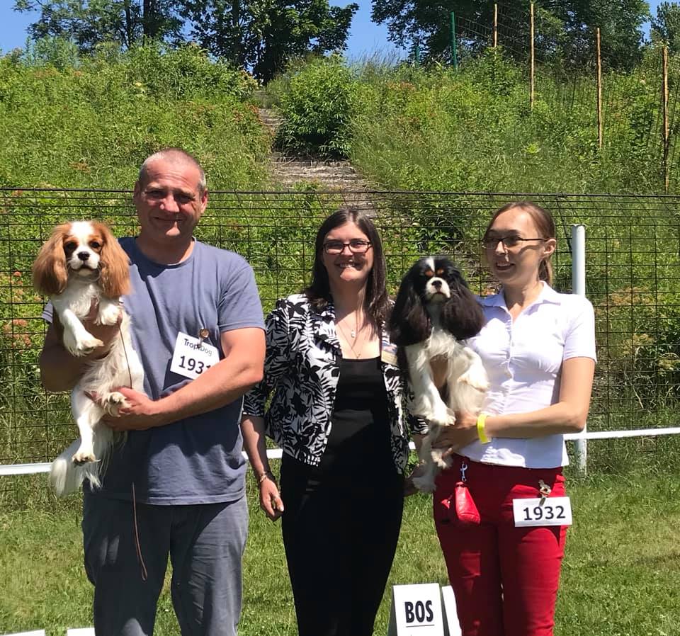 photo by Joanna Dziuba