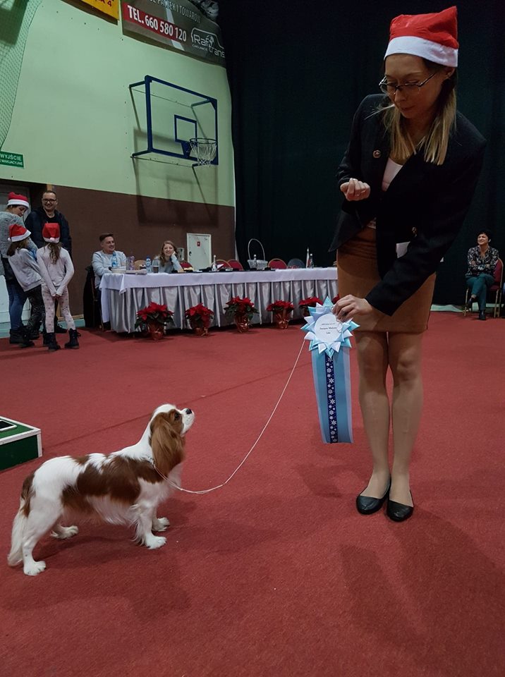 photo by Szymon Paczyski