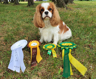 photo by Szymon Paczyski