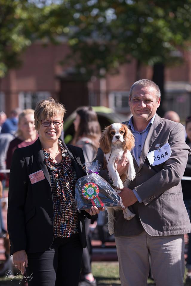 photo by Anna Derleta