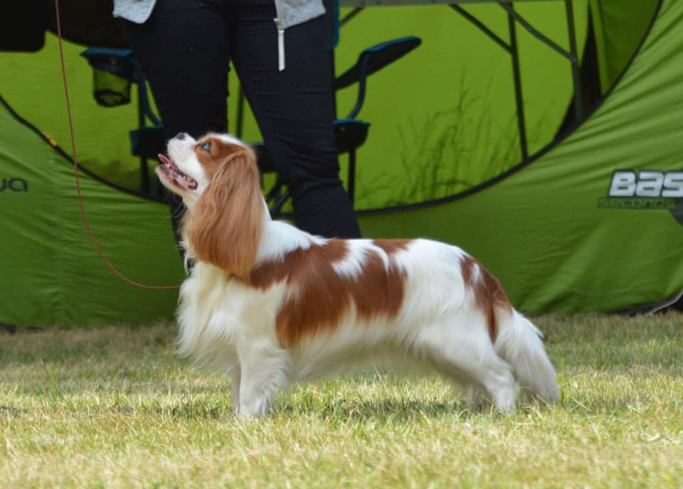 photo by Sawomir Sawiski