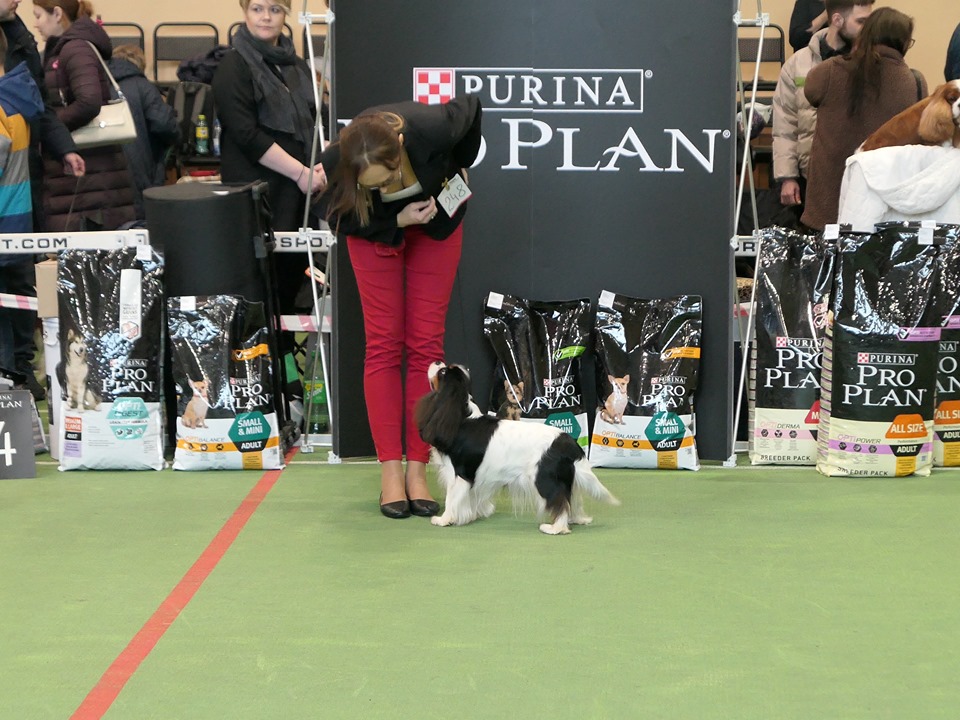 photo by Mariusz Hocik