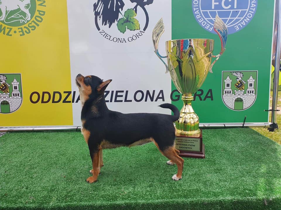 photo by Szymon Paczyski