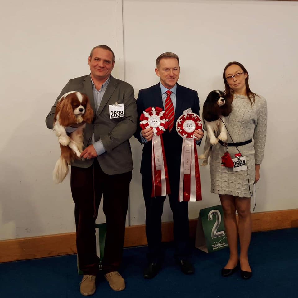 photo by Zuzana Novkov