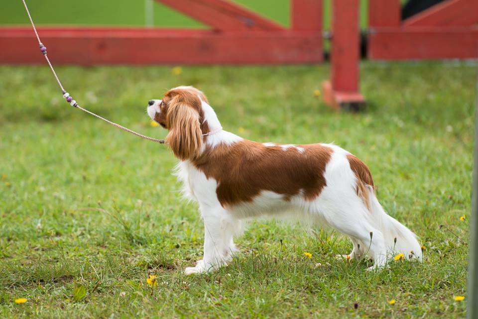 photo by Anna Derleta