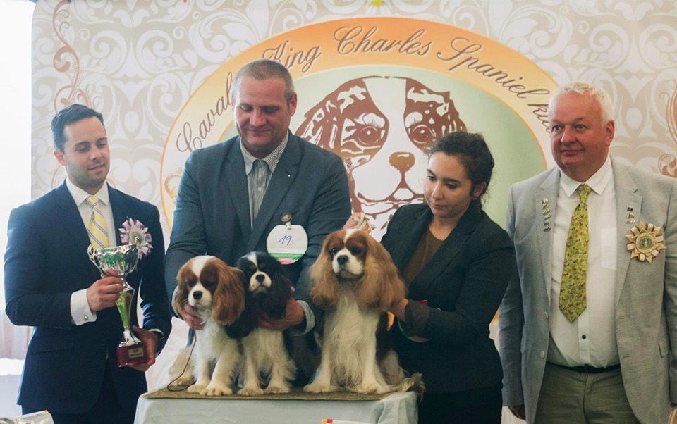 photo by Sawomir Sawiski