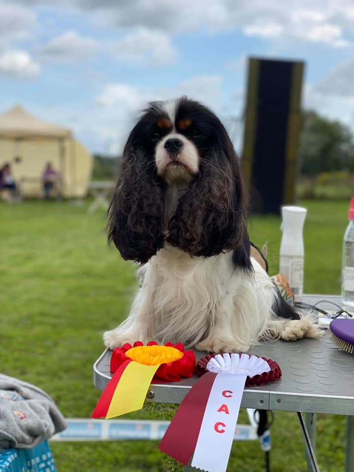 photo by Kristine Zake