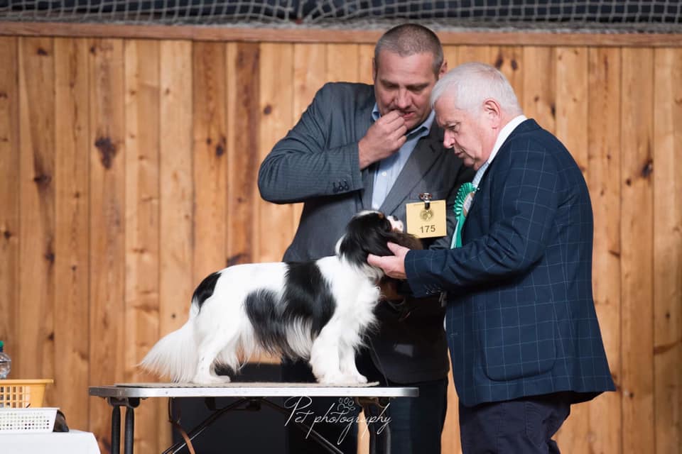 photo by Anna Derleta